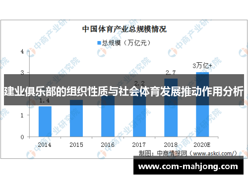 建业俱乐部的组织性质与社会体育发展推动作用分析