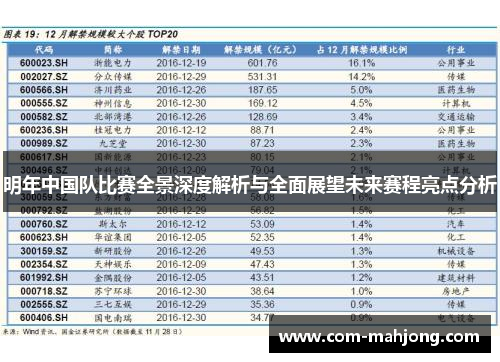 明年中国队比赛全景深度解析与全面展望未来赛程亮点分析