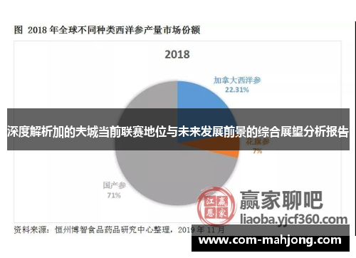 深度解析加的夫城当前联赛地位与未来发展前景的综合展望分析报告