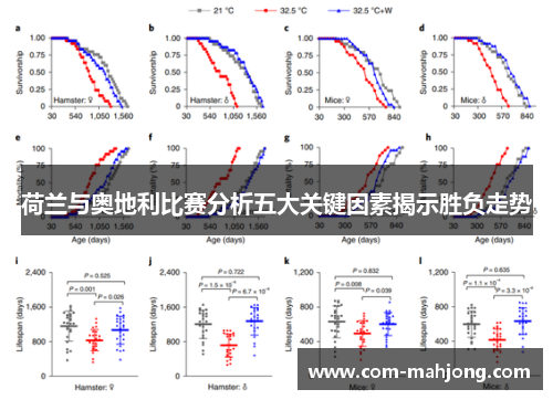 荷兰与奥地利比赛分析五大关键因素揭示胜负走势
