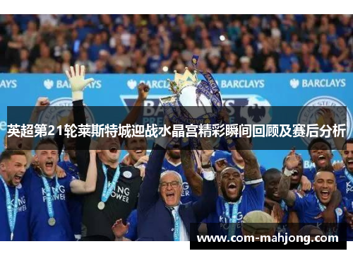 英超第21轮莱斯特城迎战水晶宫精彩瞬间回顾及赛后分析 英超第21轮莱斯特城迎战水晶宫精彩瞬间回顾及赛后分析