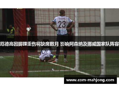 厄德高因脚踝重伤将缺席数月 影响阿森纳及挪威国家队阵容 厄德高因脚踝重伤将缺席数月 影响阿森纳及挪威国家队阵容