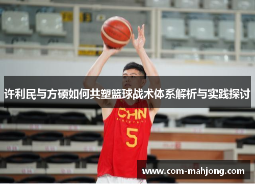 许利民与方硕如何共塑篮球战术体系解析与实践探讨