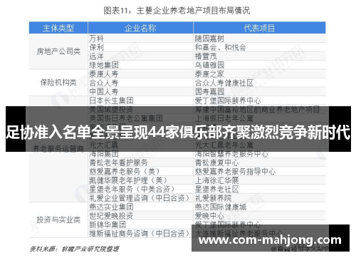 足协准入名单全景呈现44家俱乐部齐聚激烈竞争新时代