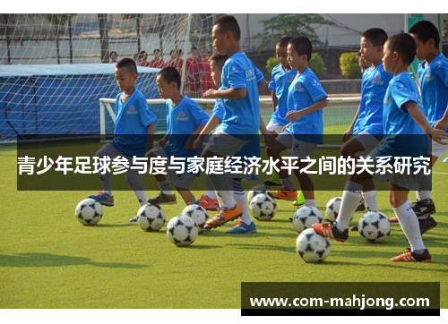 青少年足球参与度与家庭经济水平之间的关系研究