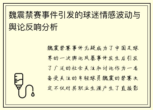 魏震禁赛事件引发的球迷情感波动与舆论反响分析