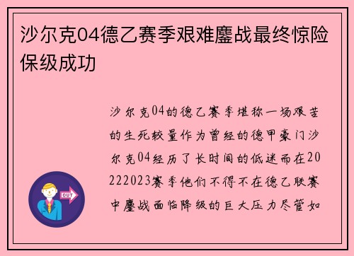 沙尔克04德乙赛季艰难鏖战最终惊险保级成功